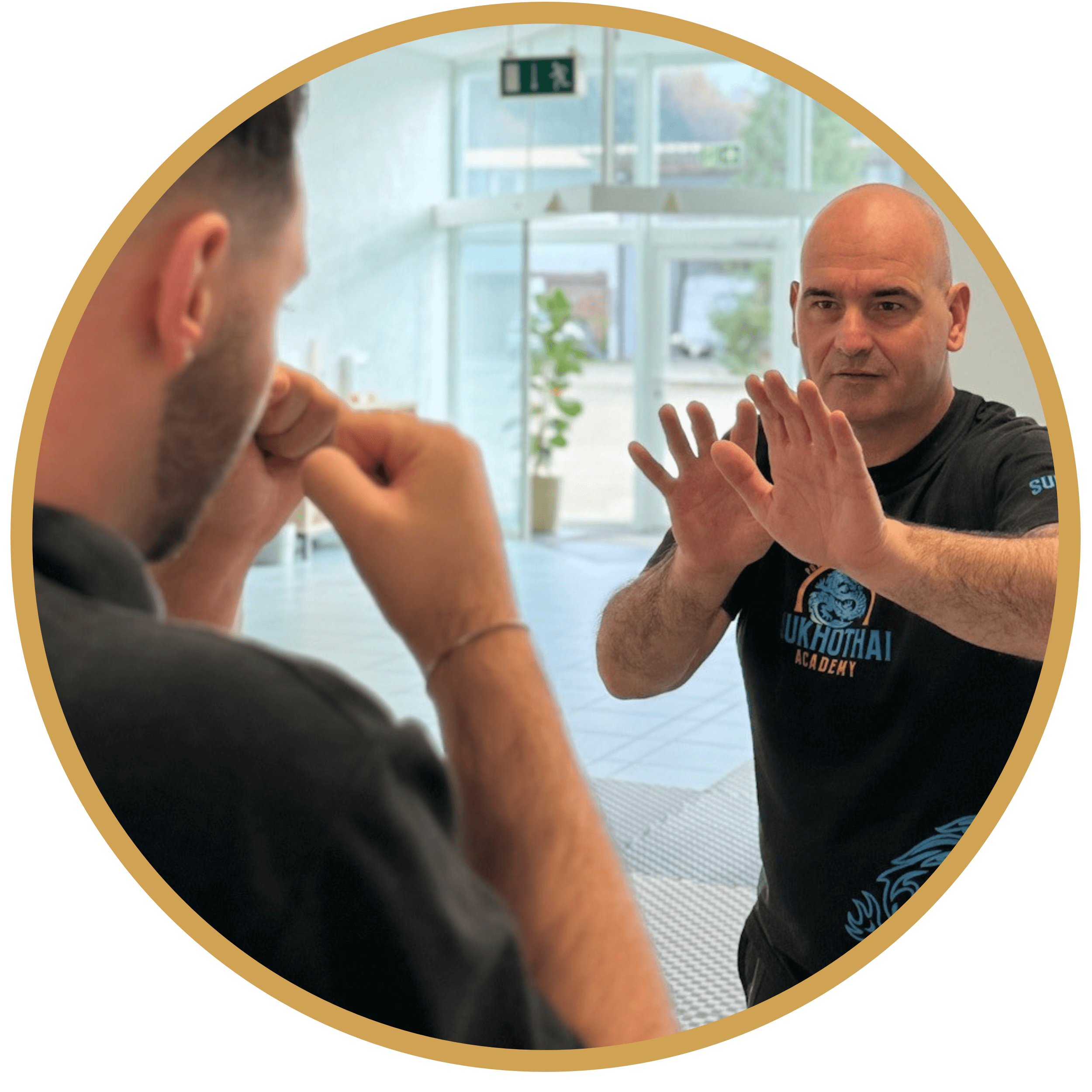 Krav Maga Protect - Ausbildung Praxisteil