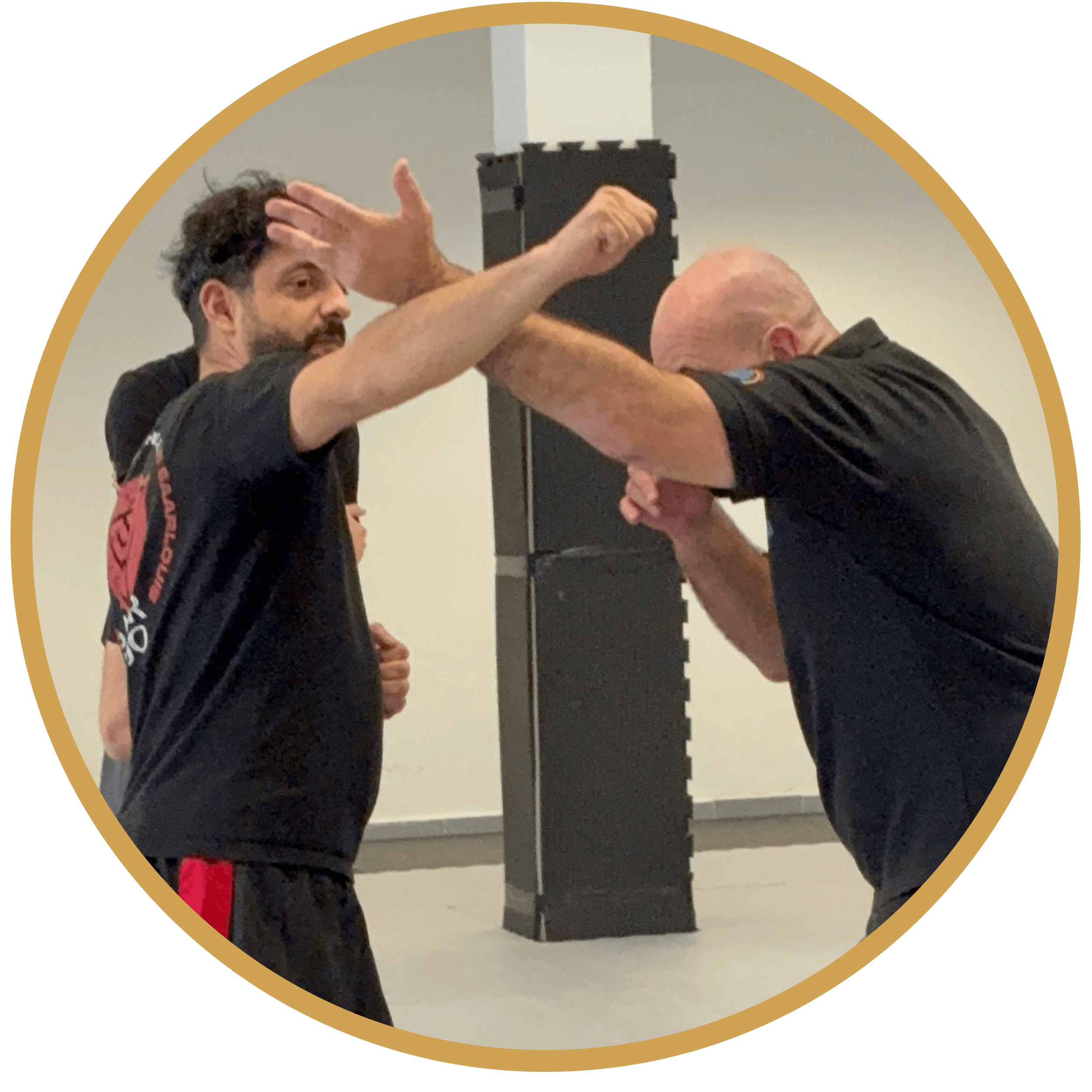 Krav Maga Protect - Ausbildung Praxisteil